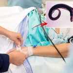 DSÖ’den küresel alarm! Cinsel organlara yerleşen parazit evrim geçirdi, yeni ülkelere yayılabilir