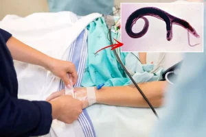 DSÖ’den küresel alarm! Cinsel organlara yerleşen parazit evrim geçirdi, yeni ülkelere yayılabilir