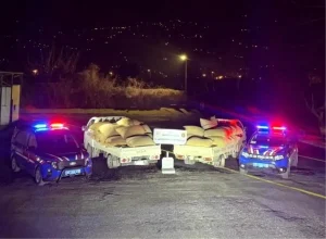 Düzce’de Fındık Dolandırıcılığına 3 Tutuklama