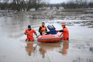 Edirne’de Taşkın Kurbanı Hayvanlar Kurtarıldı