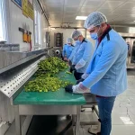 Erciş’te Kışın Sıcak Yemek Hizmeti