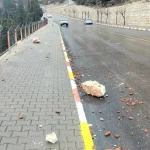 Ermenek’te Kaya Parçası Elektrik Trafosuna Çarptı