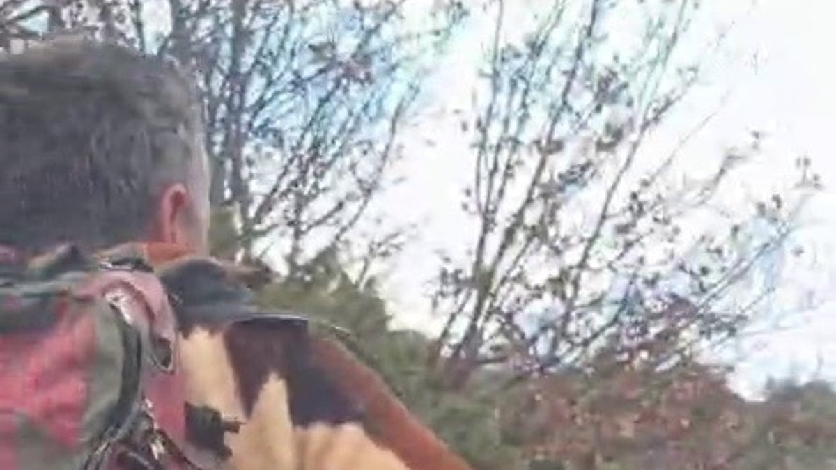 Erzurum’da kuş gözlemcisini ayı karşıladı