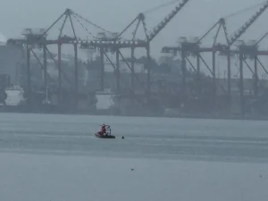 Gemlik’te Denizde Erkek Cesedi Bulundu