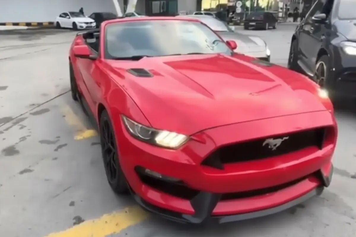 Gümrükten usulsüz geçirilen 65 lüks araca el konuldu: 22 gözaltı