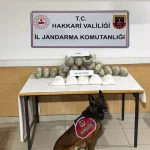 Hakkari’de Uyuşturucu Operasyonu: 17kg Skunk Ele Geçirildi