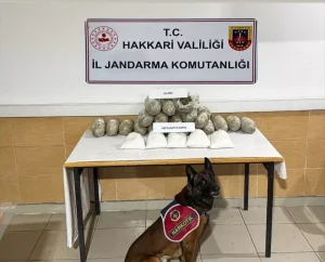 Hakkari’de Uyuşturucu Operasyonu: 17kg Skunk Ele Geçirildi
