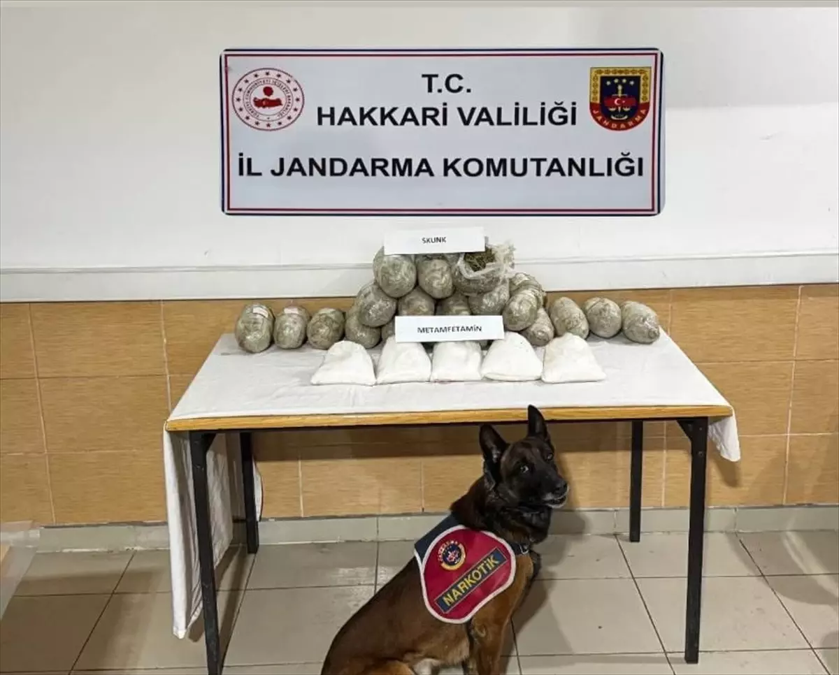 Hakkari’de Uyuşturucu Operasyonu: 17kg Skunk Ele Geçirildi