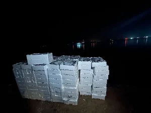 İğneada’da Yasal Olmayan İstavrit Avına Cezalı Müdahale