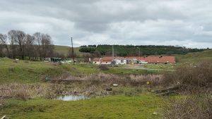 İstanbul’da çiftlik evinde elektrikli testere ile husumetlisine saldırdı