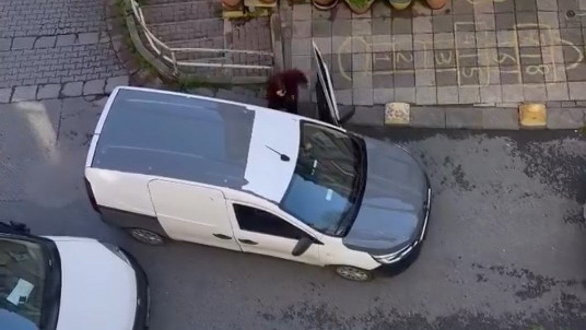 İstanbul’da mahallede park kavgası