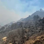 İzmir Orman Yangınları İddiaları Yanlış