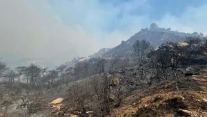 İzmir Orman Yangınları İddiaları Yanlış