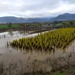 İzmir’de Sağanak Yağış Hayatı Felç Etti