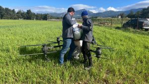 İzmir’de yağmur tarlayı çamura çevirdi, çiftçi çözümü droneda buldu
