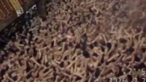 Japonya’da 500 yılı aşkın, çıplaklar festivali geleneği