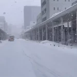 Japonya’da Kar Fırtınası: 45 Ölü