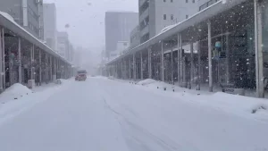 Japonya’da Kar Fırtınası: 45 Ölü