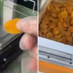 Kayısının kilo fiyatı da tane fiyatı da ağızları açık bıraktı