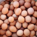 Küçük miktardaki yumurtanın doğrudan satışına yeni düzenleme
