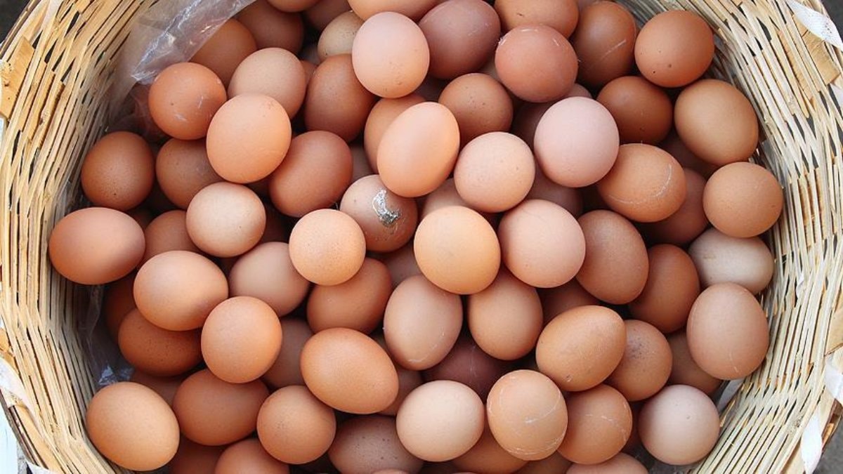 Küçük miktardaki yumurtanın doğrudan satışına yeni düzenleme