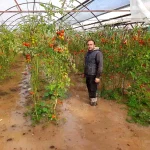 Kumluca’da Hortum Seraları Vurdu