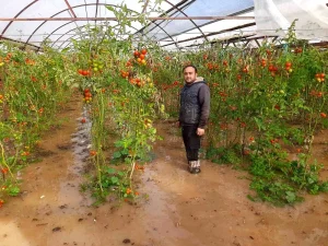 Kumluca’da Hortum Seraları Vurdu