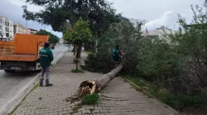 Kuşadası’nda Fırtına ve Sağanak Hayatı Olumsuz Etkiledi