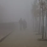 Mardin’de Yoğun Sis Trafiği Olumsuz Etkiledi