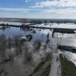 Meriç Nehri Taştı, Hayvanlar Kurtarıldı