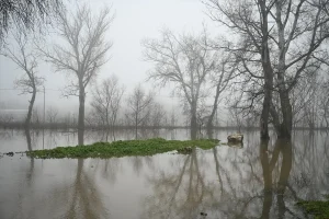 Meriç Nehri’nde Debi Düşüşü Devam Ediyor