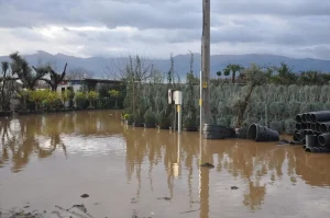 Ödemiş’te Aşırı Yağış Hayatı Olumsuz Etkiledi