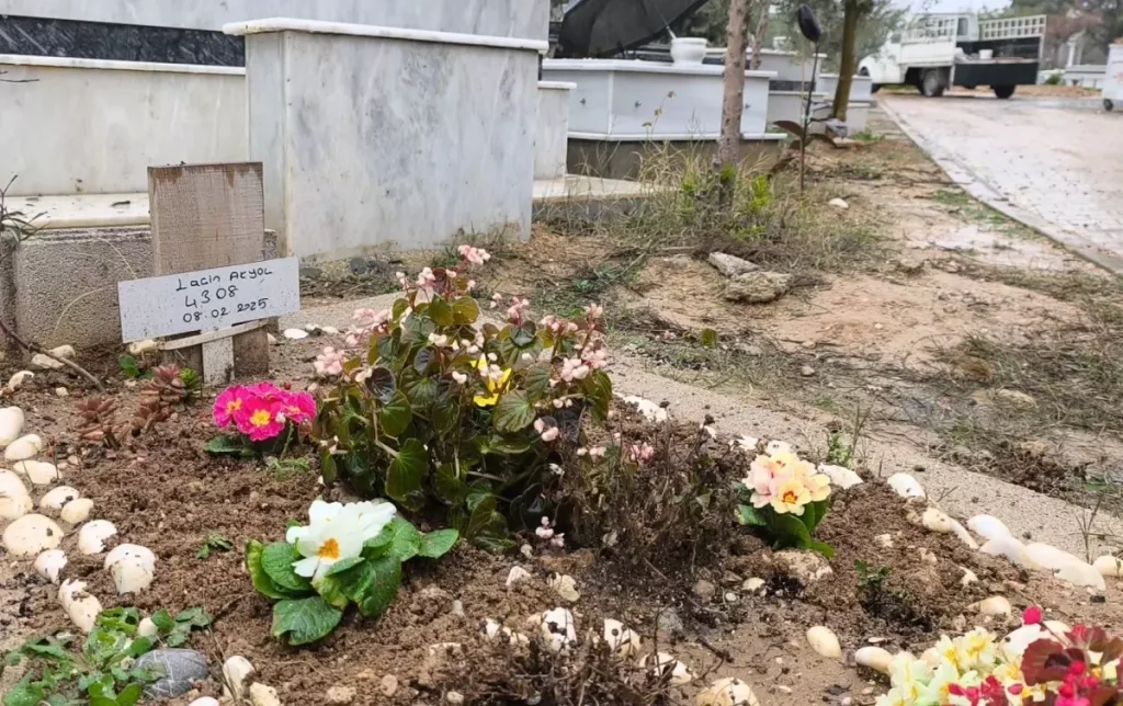 Ödüllü keman sanatçısı Laçin, mezarı başında anıldı