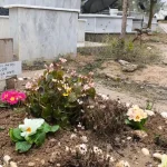 Ödüllü keman sanatçısı Laçin, mezarı başında anıldı