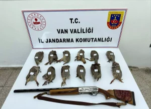 Ruhsatsız Tüfekle Keklik Avına Ceza