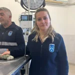 Sahiplendirilen köpeğin durumu kritik