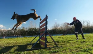 Sakarya’nın K9 Köpekleri Afetlere Hazırlanıyor