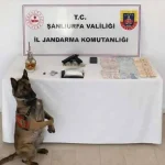 Şanlıurfa’da Uyuşturucu Operasyonu: 1 Gözaltı