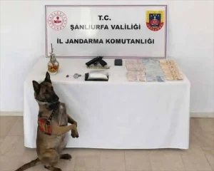 Şanlıurfa’da Uyuşturucu Operasyonu: 1 Gözaltı