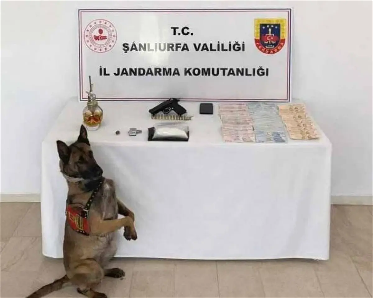 Şanlıurfa’da Uyuşturucu Operasyonu: 1 Gözaltı