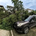 Şiddetli Rüzgar Ağaçları Devriltip Araçlara Zarar Verdi