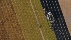 Tarımda Hazine destekli krediler: 5 soruda kısa rehber