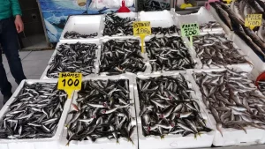 Trabzon’da Balık Çeşitliliği Artıyor