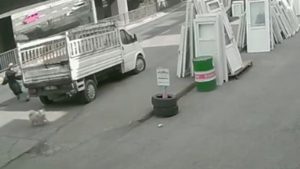 Trabzon’da yaşananlar ders olmadı: Sokaklar başıboş köpeklerle dolu