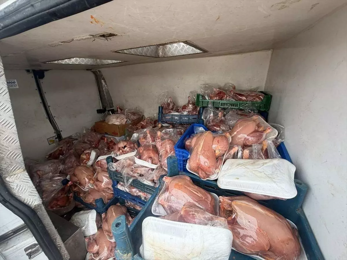 Tuşba’da 200 Kaçak Tavuk Ele Geçirildi