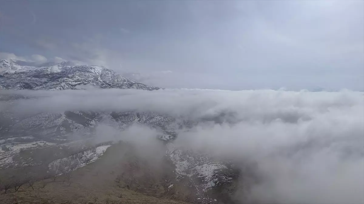 Van ve Hakkari’de Yol Kapandı