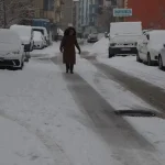 Van ve Muş’ta Kar Nedeniyle Yollar Kapandı