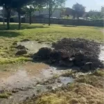 Yalova’da DEAŞ Operasyonları: 198 Gözaltı
