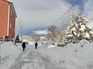 Bingöl’de Kar Ulaşımı Engelledi
