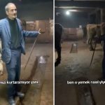 Hayvanlarına yem alamayan vatandaşın isyanı: Yemin ederim içim yanıyor